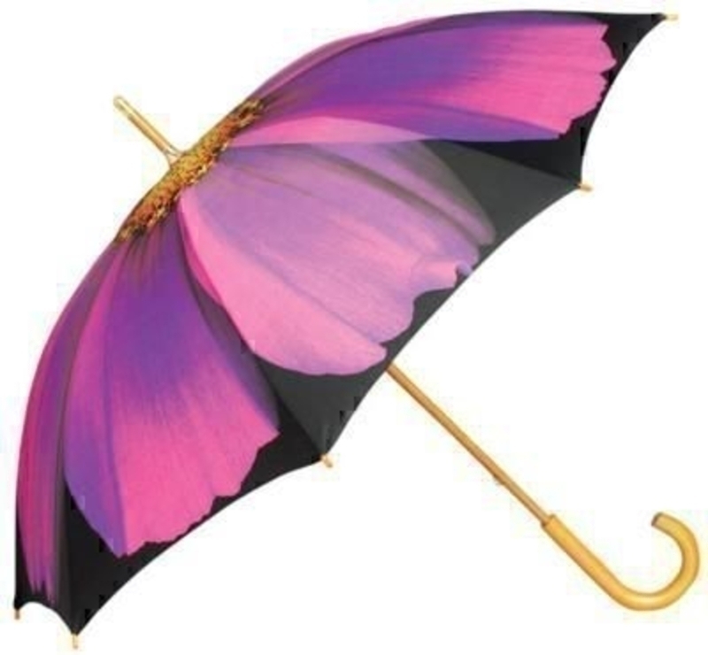 Purple cosmos umbrella / Parasol. 100% Polyester cover, 8 durable fibreglass ribs with a wooden handle/shaft. Manual opening, walking length. 104cm diameter when open. 90cm length when closed.
